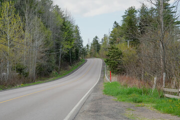 Country road in spring