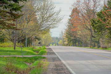 Country road in spring