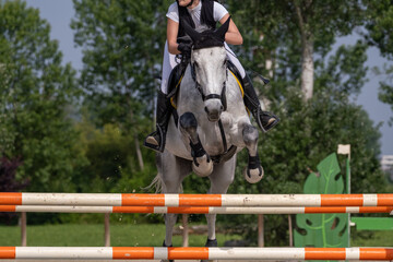 Show jumping competition on horseback. Horse Jumping, Equestrian Sports, Show Jumping themed photo.
