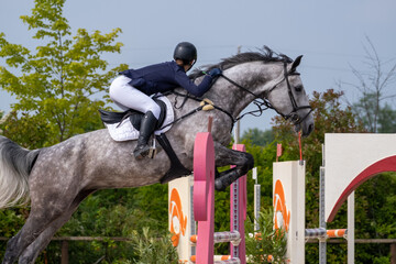 Show jumping competition on horseback. Horse Jumping, Equestrian Sports, Show Jumping themed photo.
