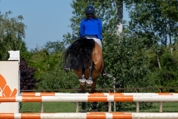 Show jumping competition on horseback. Horse Jumping, Equestrian Sports, Show Jumping themed photo.
