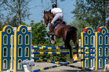 Show jumping competition on horseback. Horse Jumping, Equestrian Sports, Show Jumping themed photo.

