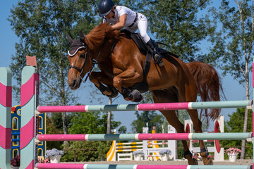 Show jumping competition on horseback. Horse Jumping, Equestrian Sports, Show Jumping themed photo.
