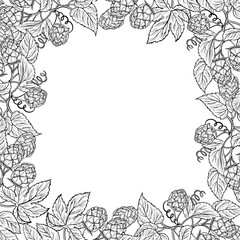 The border frame with branches of hops. An ingredient for brewing. An illustration with black and white vector graphics drawn by hand. For the design of labels, packages, posters oktoberfest.