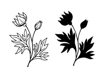 Linear sketch, silhouette of wildflowers, simple meadow grasses. Vector graphics.