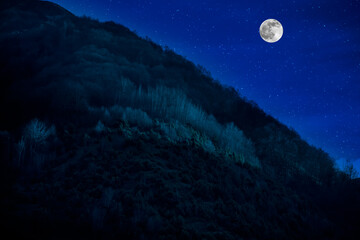 Mountain Road through the forest on a full moon night. Scenic night landscape of country road at night with large moon