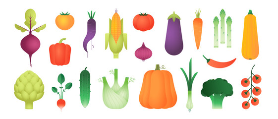 Vegetable set. Vector illustrations isolated on white background: tomato, pumpkin, cucumber, onion, beetroot, corn. Healthy natural vegan food collection. Organic products, veggies. Simple flat style