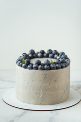 Cute chocolate cake with grey chocolate frosting decorated with colorful sprays and blueberries on top. White background
