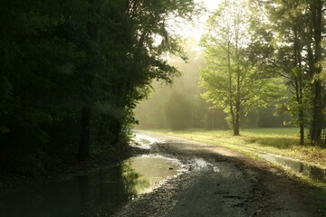 Fototapeta premium Scenic forest road through field with trees and puddles in foreground