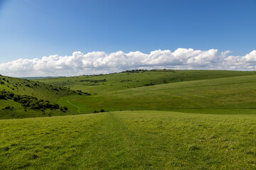 Looking along a grass pathway through an undulating Sussex landscape, on a sunny spring day © lemanieh