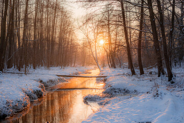 Bajkowa Zima © Dominik