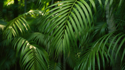 Texture of palm branches in the background
