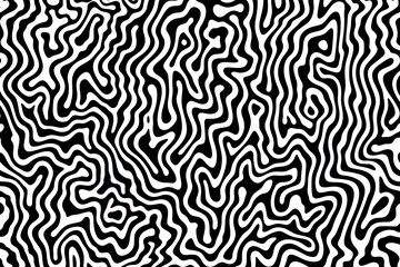 Black and white brain coral texture print.