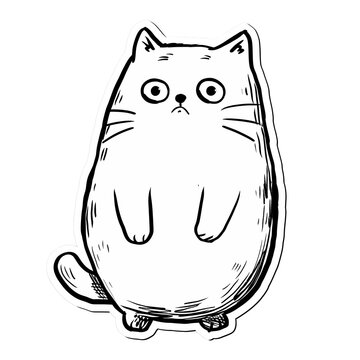 "I'm not okay" Cat on a plain background