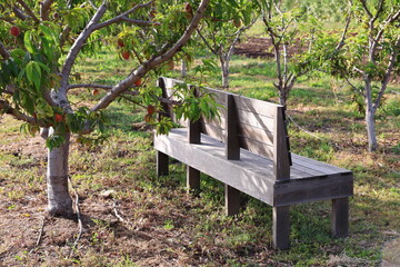 garden bench
