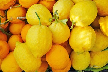 View of fresh Amalfi lemons on the Amalfi Coast in Italy
