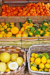View of fresh Amalfi lemons on the Amalfi Coast in Italy