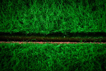 Green Grass Field With Red Line