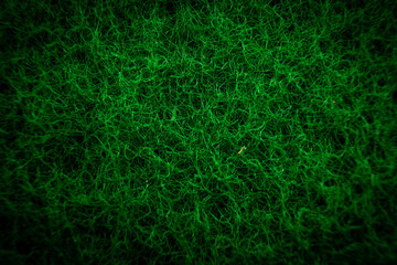 Detailed Close Up of Green Grass Texture