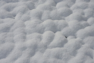 Fototapeta premium 雪の東福寺 境内の積雪 京都市東山区