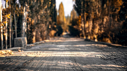 Bokeh shot of a thick forest road with a blurred background and texture.