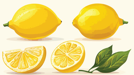 Fresh ripe whole lemon isolated on white Cartoon Vector