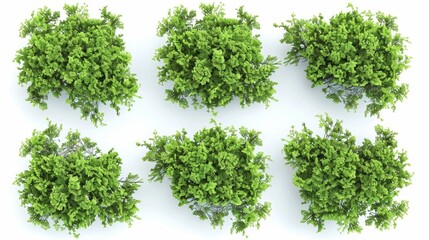 Naklejka premium Top view of green bushes, Generative AI