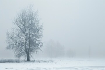 Obraz premium Snowy landscape with a lone tree in the middle of a field, winter forest background 
