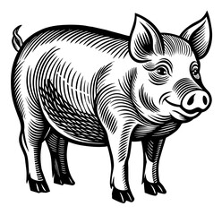 Fototapeta premium Vintage style illustration of a pig or sow, hog, pork in black and white for agricultural and livestock themes, farming and retro linocut logo style