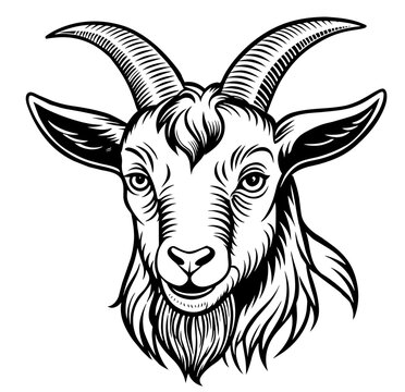 recommend clip art: Vintage style illustration of a goat or sheep in black and white for agricultural and livestock themes, farming and retro linocut logo style