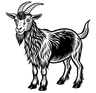 recommend clip art: Vintage style illustration of a goat or sheep in black and white for agricultural and livestock themes, farming and retro linocut logo style