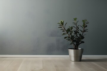 Minimalist gray wall with potted plant pops against light wood floor, exuding modern elegance