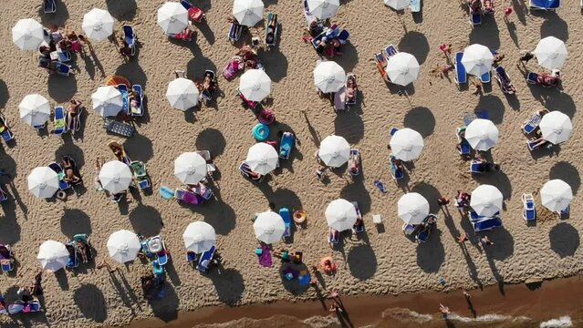 Aerial view of the sand beach, sunbeds and umbrellas of Sunny Beach in Bulgaria. Summer holidays in Europe. Aerial video, drone view. Summer background
