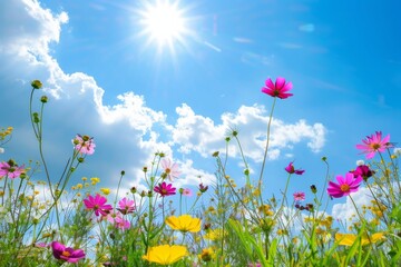 A vibrant field of wildflowers under the blue sky, with colorful petals in various shapes and sizes gently swaying to sunlight, creating an enchanting scene that captures nature's beauty at its most s