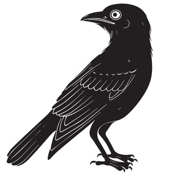recommend clip art: Cuckoo in cartoon, doodle style . Image for t-shirt, web, mobile apps and ui. Isolated 2d vector illustration in logo, icon, sketch style, Eps 10, black and white. AI Generative