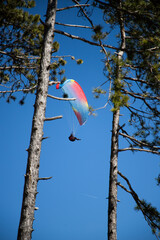 glider paragliding g against blue sky flying adrenaline and freedom concept