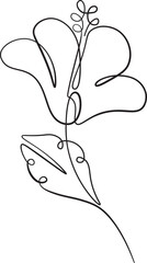 Flower Sketch Outline