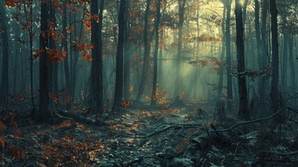 Obraz premium In the quiet aftermath, the forest whispered promises of renewal, a silent vow to rise from the ashes once more.