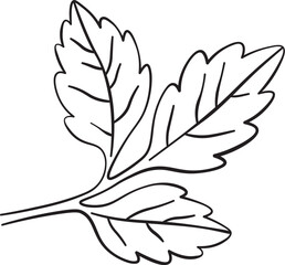 Leaves Branch Sketch Outline