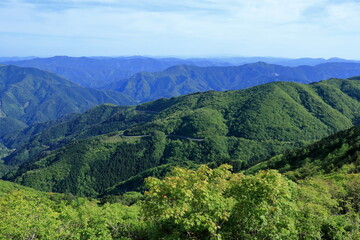 Fototapeta premium 天狗高原 駐車場からの景観 初夏 （高知県 津野町 四国カルスト）