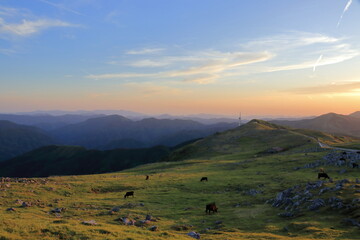 夕暮れの五段高原　初夏　（高知県　梼原町　四国カルスト）