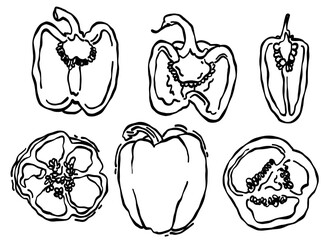 set of hand drawn doodles of bell peppers, vector illustration of vegetables. pattern for background