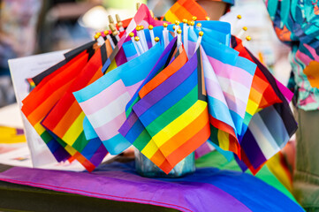 Group of various flags including rainbow and transgender at Placer Pride 2024.