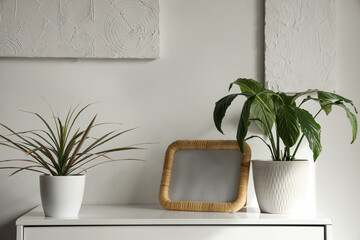 Green plant with blank frame on commode in living room