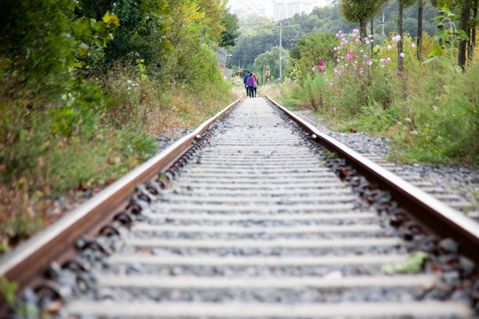View of the railway in the rural area