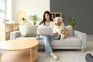 Young woman with Australian Shepherd dog using laptop on sofa at home