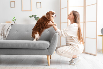 Young woman with adorable cavalier King Charles spaniel on sofa at home