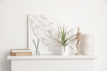 Reed diffuser, books and houseplant on mantelpiece at home