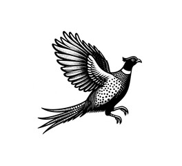 pheasant bird vintage hand drawn vector