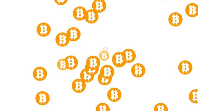 bitcoin gold animation, pile of bitcoin animation Falling bitcoin coins, financial growth with bitcoin rain white Screen background The word Bitcoin. Digital currency logo